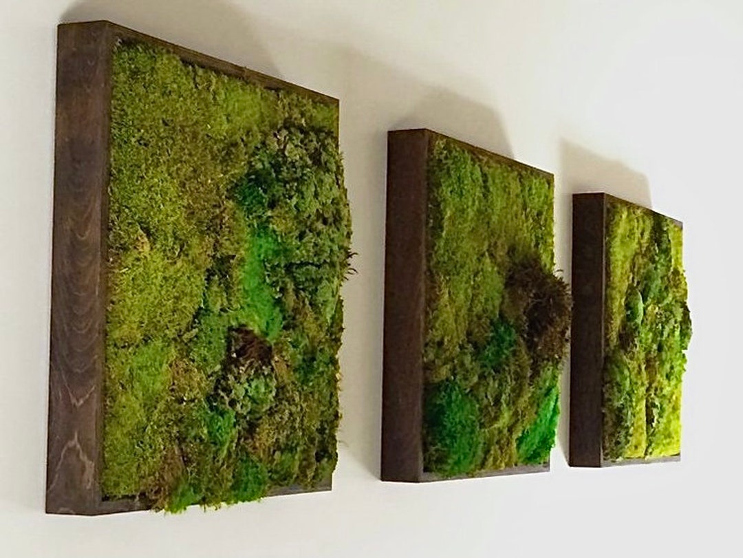 Painting Natural Mural of Various Textures of Preserved Etsy