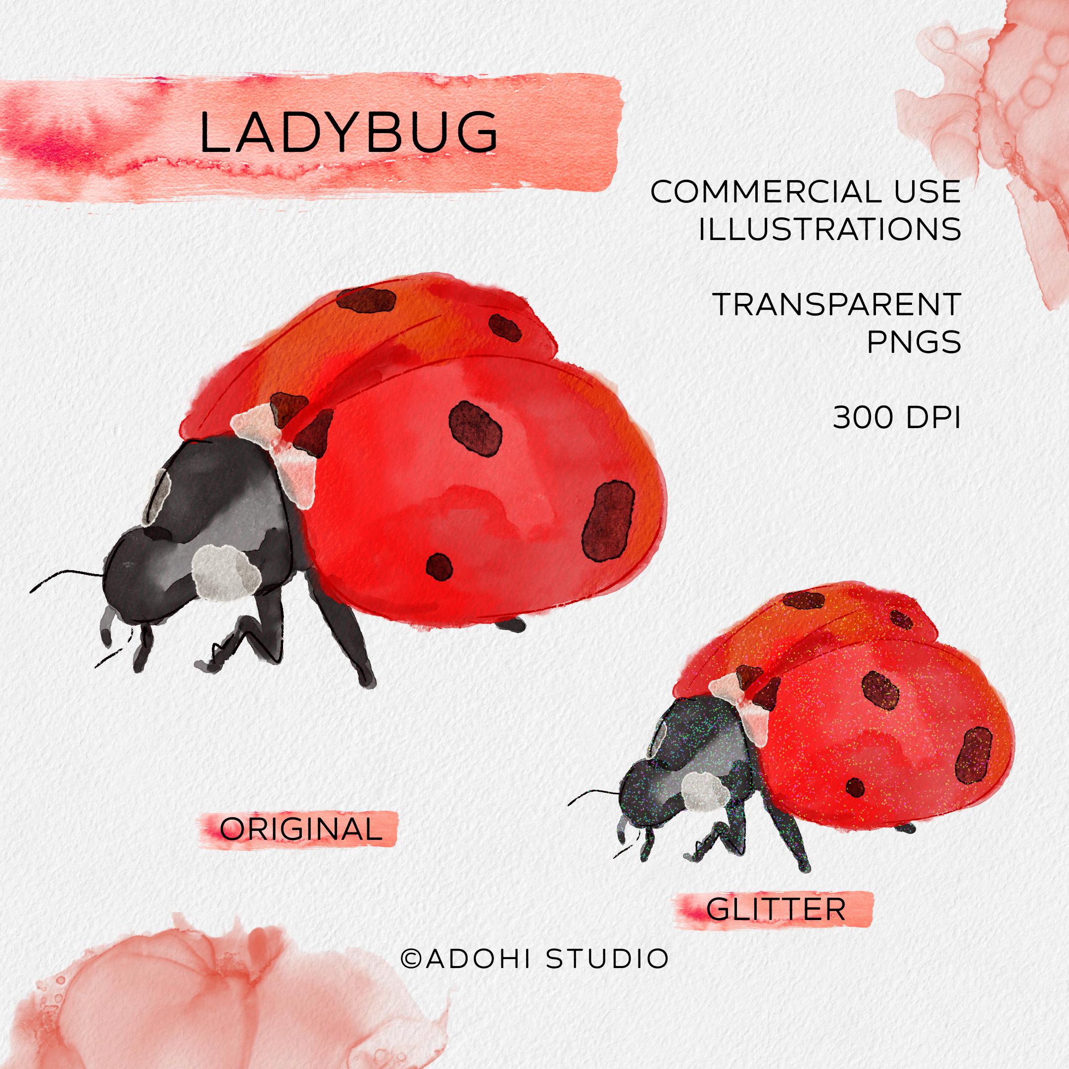 Hand‑drawn Watercolor Ladybug Clipart | PNG Illustration, Whimsical ...