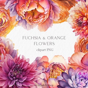 Fuchsia orange Blumen #b133