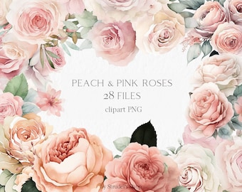 Rosas cor de pêssego Aquarela Clipart PNG - flor pastel arranjo floral buquê gasto DIY convida #b40