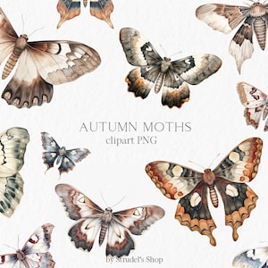 Herbst Motten Aquarell Clipart PNG #b102