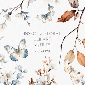Aquarell Schmetterling Motte Clipart - Libelle Insekt Herbst Herbst Blumen Kirschblüten PNG Blumen #b173