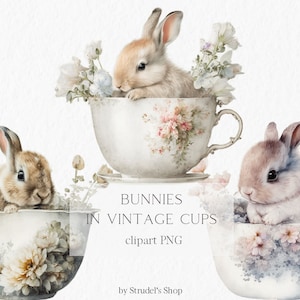 "Osterhasen in vintage Bechern ""Hunde"" Aquarell Clipart PNG - Oster Frühling Sublimation Vintage Tier Kaninchen hübsch blumig #b59."