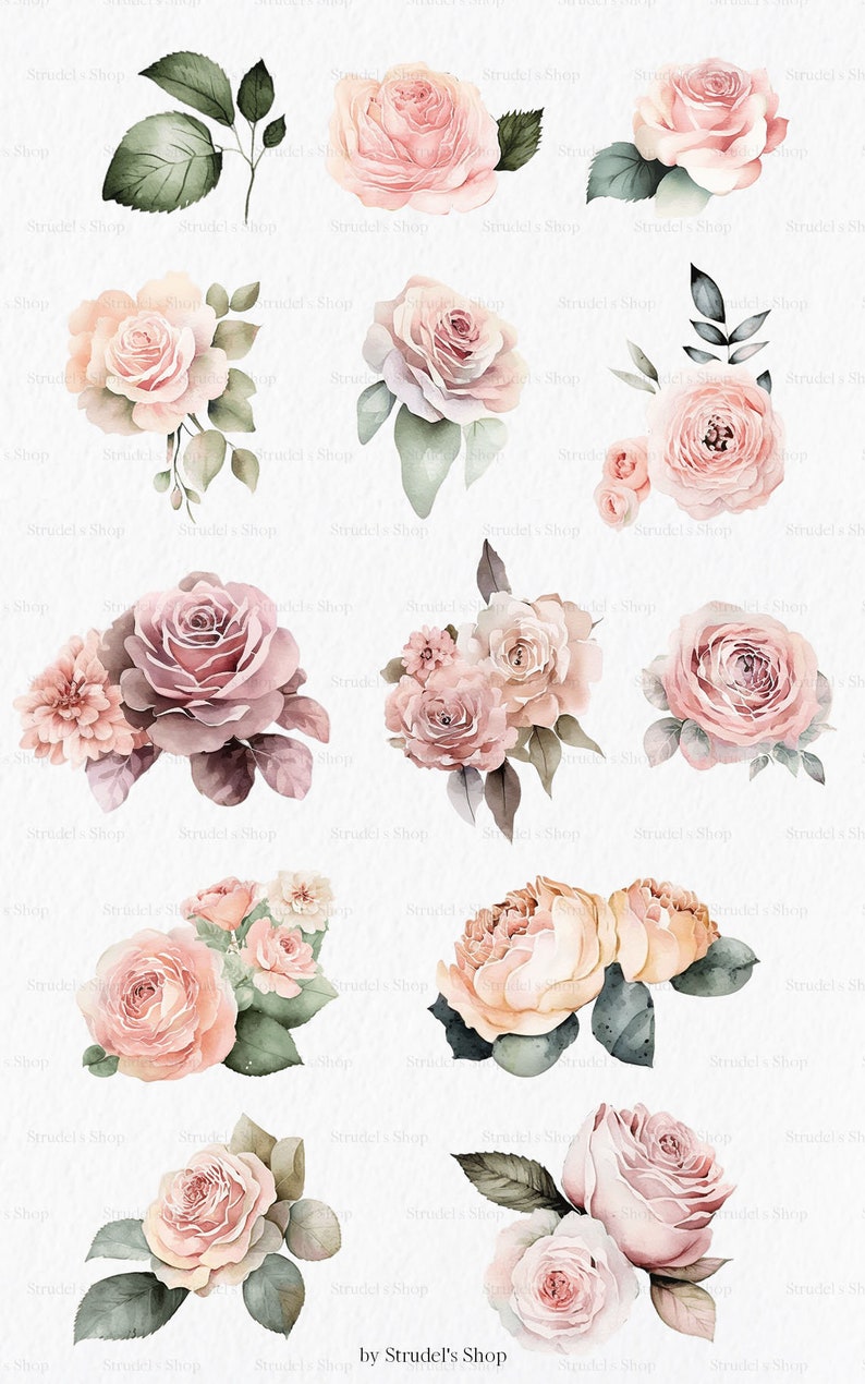 Peach Pink Roses Watercolor Clipart PNG - Flower Pastel Floral ...