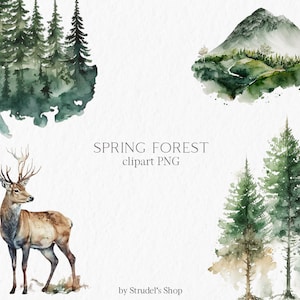 Frühlingswald Aquarell Clipart PNG - Landschaft Hirsch Tiere Berg Baum Natur Wald Hochzeitseinladung Clipart #b12