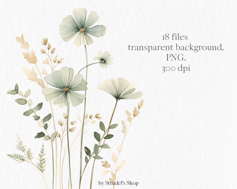 K&ouml;nnte beinhalten: Eine Aquarell-Illustration eines Strau&szlig;es zarter, hellgr&uuml;ner Blumen und beigefarbener Gr&auml;ser. Die Blumen haben einen weichen Aquarelleffekt und sind in einem lockeren, nat&uuml;rlichen Stil angeordnet.
