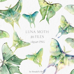 Luna Motte Clipart - Boho Schmetterling PNG Garten Planer Insekt PNG mystische Planer Aufkleber aquarell witchy #b155