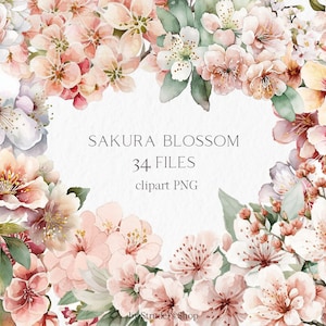Flor de Sakura Aquarela Clipart PNG - flor primavera casamento flores de cerejeira elementos gráficos florais nupciais # b50