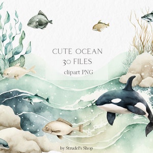 Mignon océan aquarelle Clipart PNG - poissons navires algues orque orque sous-marine d'été pépinière art mural #b32