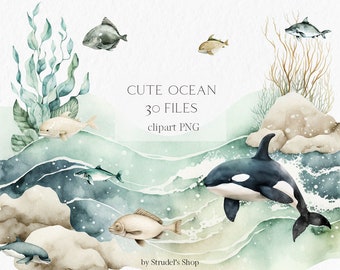 Cute ocean Watercolor Clipart PNG - fish ships algae killer whale orca underwater summer nursery wall art #b32