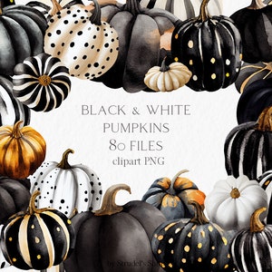 Zucche nere e bianche Acquerello Clipart PNG - oro autunno caduta halloween decorazione festa di halloween #b166