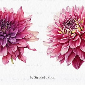 Flores laranja fúcsia Clipart PNG - rosa verão brilhante gráficos coloridos floral casamento uso comercial sublimação #b133 imagem 5
