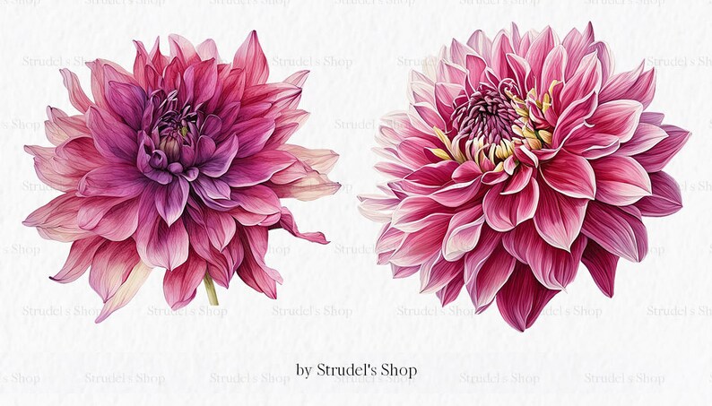Flores laranja fúcsia Clipart PNG - rosa verão brilhante gráficos coloridos floral casamento uso comercial sublimação #b133 imagem 5