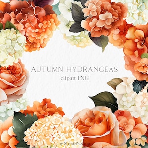 Op de afbeelding: Waterverfillustratie van herfstbloemen, waaronder oranje hortensia's en rozen, met groene bladeren. De tekst "AUTUMN HYDRANGEAS clipart PNG" wordt weergegeven. Ontwerp van Strudel's Shop.