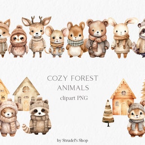 Animaux de la forêt confortables Aquarelle Clipart PNG - cerf raton laveur ours blaireau écureuil hibou automne forêt hygge boho beige baby shower #b182