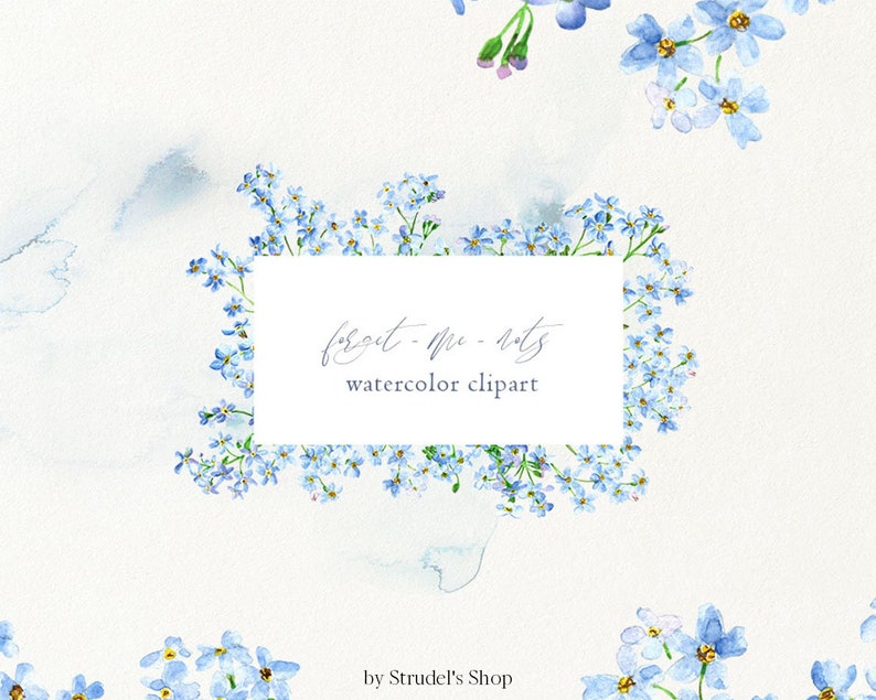 May include: Watercolor clipart featuring forget-me-not flowers in shades of blue and green. The flowers are arranged in a border around a white rectangle with the text "forget-me-nots watercolor clipart" in a cursive font. The text "by Strudel's Shop" appears below the rectangle.