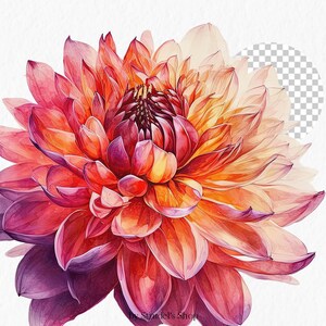 Flores laranja fúcsia Clipart PNG - rosa verão brilhante gráficos coloridos floral casamento uso comercial sublimação #b133 imagem 6
