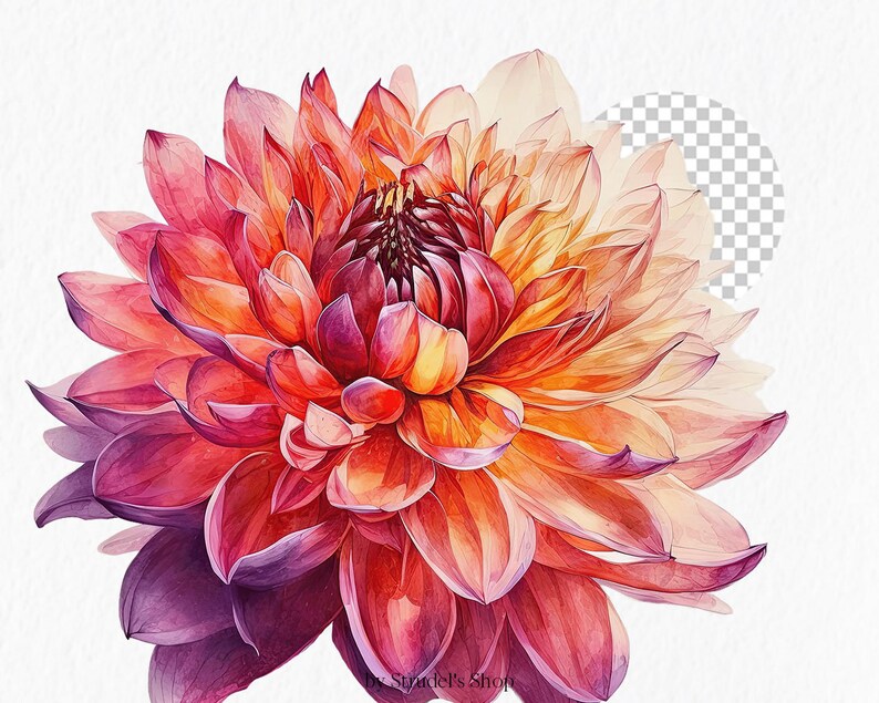 Flores laranja fúcsia Clipart PNG - rosa verão brilhante gráficos coloridos floral casamento uso comercial sublimação #b133 imagem 6