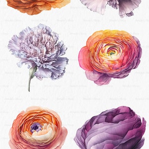 Flores laranja fúcsia Clipart PNG - rosa verão brilhante gráficos coloridos floral casamento uso comercial sublimação #b133 imagem 3