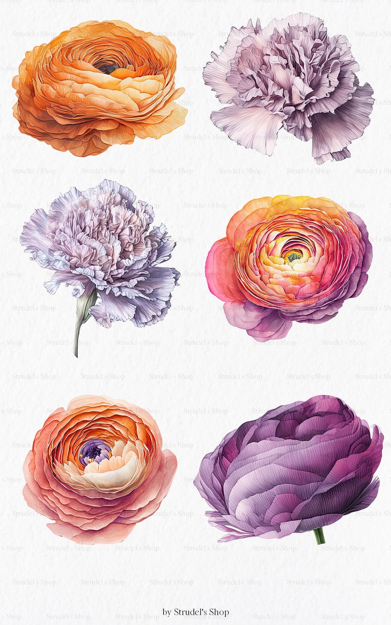 Flores laranja fúcsia Clipart PNG - rosa verão brilhante gráficos coloridos floral casamento uso comercial sublimação #b133 imagem 3