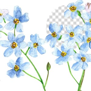 May include: Watercolor painting of a cluster of blue forget-me-not flowers with yellow centers. The flowers are arranged in a bouquet with green stems and leaves.