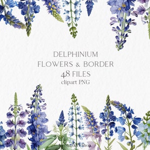 Clipart delphinium bleu - Aquarelle fleurs png juillet anniversaire frontière transparente mariage floral printemps #b98