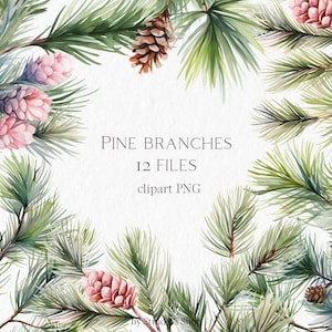 Christmas floral clipart #b137