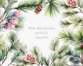 Christmas floral clipart #b137