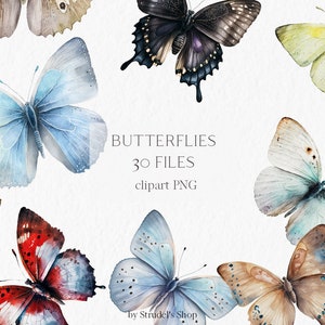 Butterflies Watercolor Clipart PNG - insect clipart hand drawn summer printable scrapbook supplies sublimation #b15