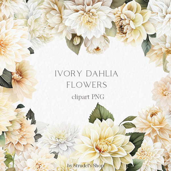 White dahlia flowers Watercolor Clipart PNG - floral elements bohemian wedding ivory neutral wedding invitation #b55