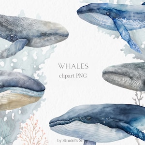 Wale Aquarell Clipart PNG - unter dem Meer nautische Unterwasser Ozean Leben Sublimation Design Planer Aufkleber #b18
