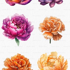 Flores laranja fúcsia Clipart PNG - rosa verão brilhante gráficos coloridos floral casamento uso comercial sublimação #b133 imagem 2