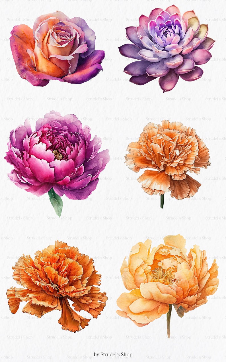 Flores laranja fúcsia Clipart PNG - rosa verão brilhante gráficos coloridos floral casamento uso comercial sublimação #b133 imagem 2