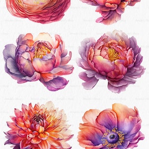 Flores laranja fúcsia Clipart PNG - rosa verão brilhante gráficos coloridos floral casamento uso comercial sublimação #b133 imagem 4