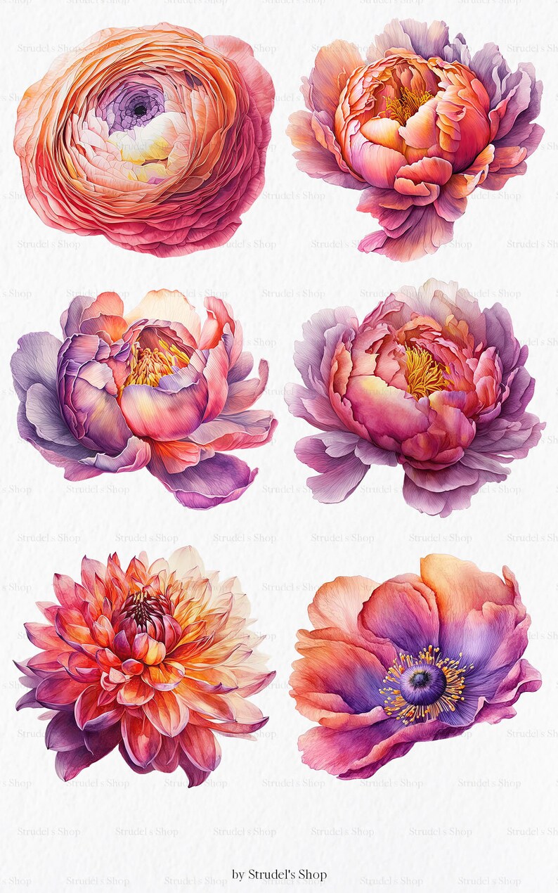 Flores laranja fúcsia Clipart PNG - rosa verão brilhante gráficos coloridos floral casamento uso comercial sublimação #b133 imagem 4