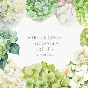 Flor de hortênsia branca e verde Aquarela Clipart PNG - adesivos de planejador floral de convite de casamento #b71
