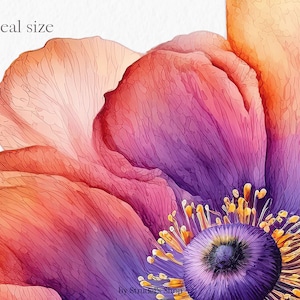 Flores laranja fúcsia Clipart PNG - rosa verão brilhante gráficos coloridos floral casamento uso comercial sublimação #b133 imagem 7