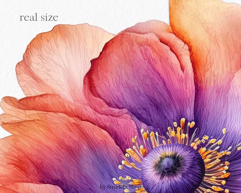 Flores laranja fúcsia Clipart PNG - rosa verão brilhante gráficos coloridos floral casamento uso comercial sublimação #b133 imagem 7