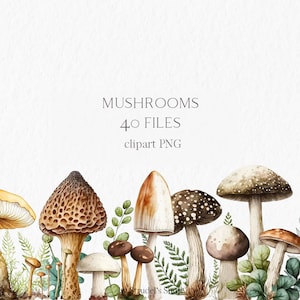 Setas Acuarela Clipart PNG - bosque bosque otoño sublimación diseño hongo #b21