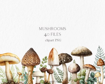 Mushrooms Watercolor Clipart PNG - forest woodland fall autumn sublimation design fungus #b21