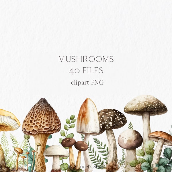 Champignons aquarelle Clipart PNG - forêt bois automne automne sublimation design champignon #b21