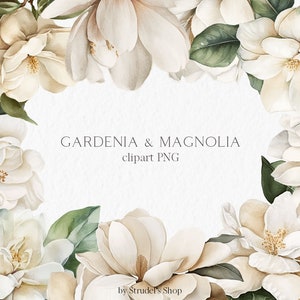 Gardenie und Magnolie Aquarell Clipart PNG - Blumen Frühling Hochzeit weiße Einladung Sublimationsdesigns #b46