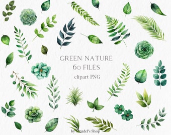 Groene natuur aquarel Clipart PNG - groen gebladerte bloemen botanische bladeren #b30