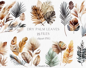 Boho Palm Leaf Clipart PNG, Watercolor Tropical Leaves, Dried Palm Fronds, Neutral Botanical Foliage, Printable Decor #b121