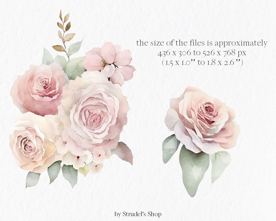 Peach Pink Roses Watercolor Clipart PNG - Flower Pastel Floral ...