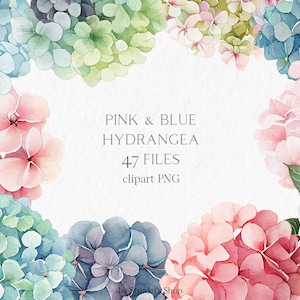 Pink & blue hydrangea flower Watercolor Clipart PNG - floral wedding summer painting #b77