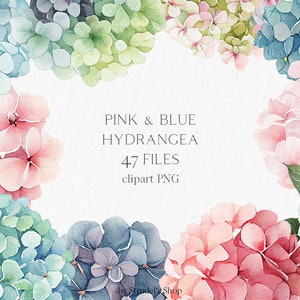 Fiore di ortensia rosa e blu Acquerello Clipart PNG - dipinto estivo di matrimonio floreale #b77