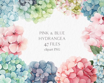 Pink & blue hydrangea flower Watercolor Clipart PNG - floral wedding summer painting #b77