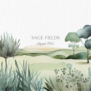 Salie velden aquarel Clipart PNG - zomer salie groene weide bruiloft uitnodiging landschap natuur schilderij esthetische scène achtergrond #b31
