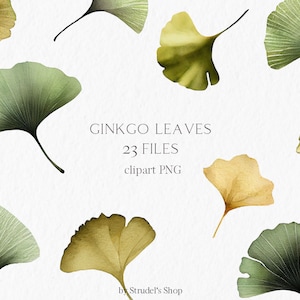 Feuilles de ginkgo Aquarelle Clipart PNG - Verdure botanique nature ginkgo biloba éléments floraux vert jaune feuillage #b20